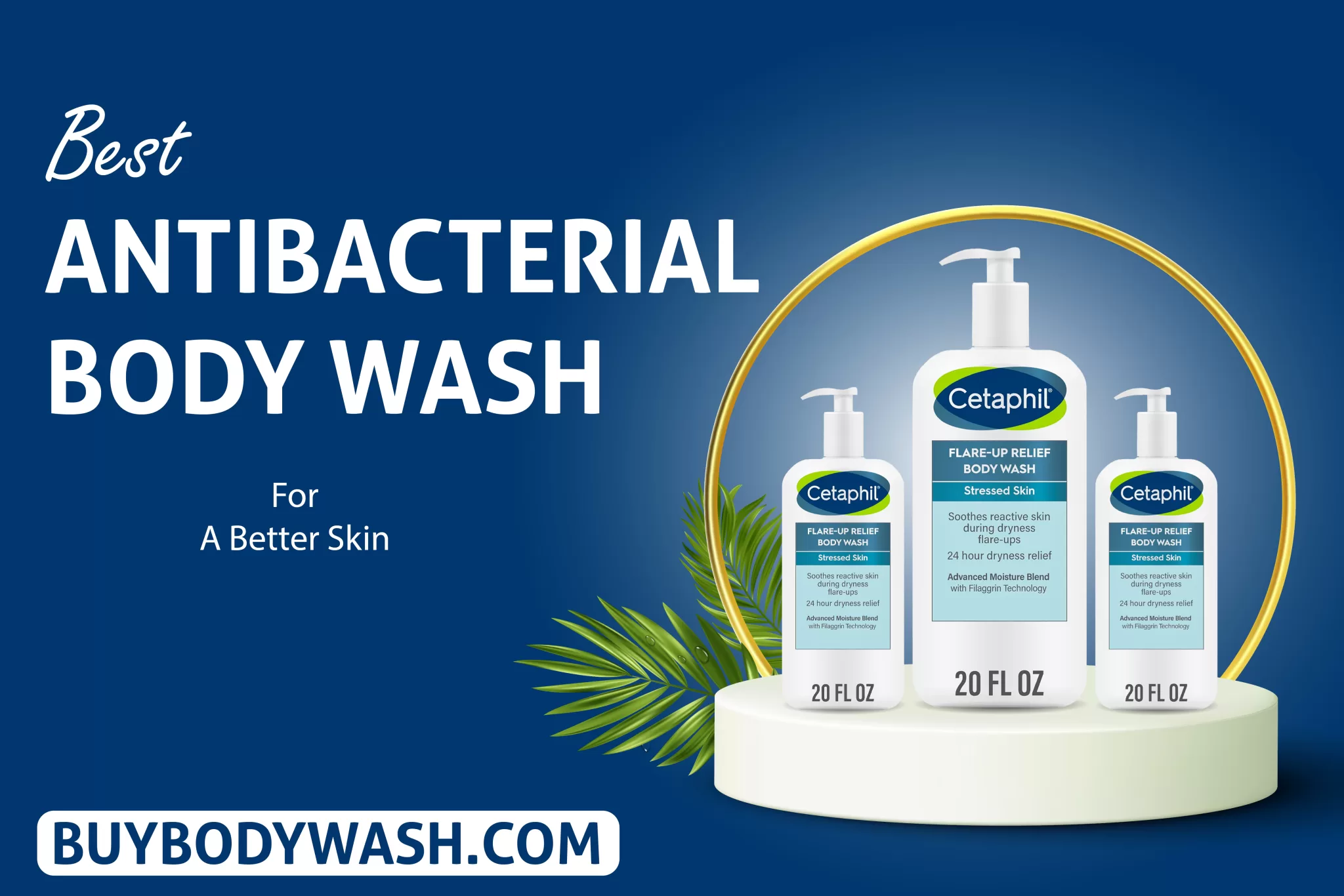 Best Antibacterial Body Wash